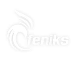 Logo firmy FENIKS w kolorze białym